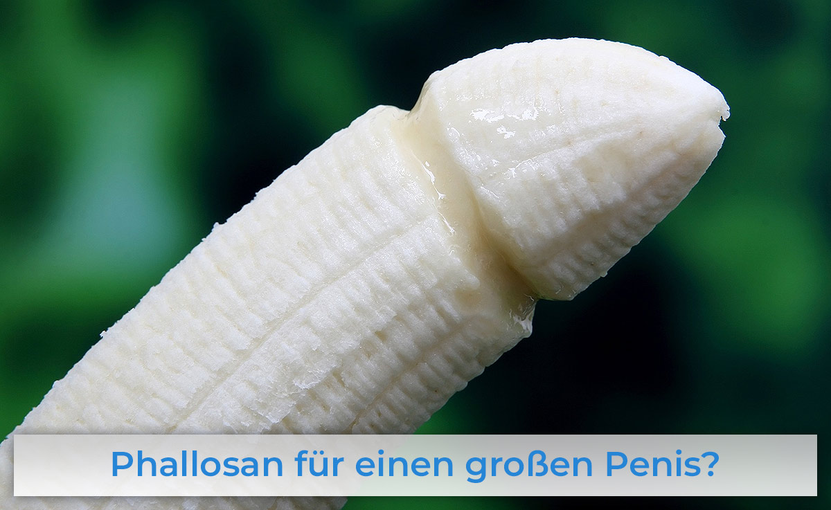 Phallosan für einen großen Penis?